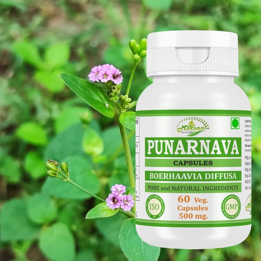 punarnava-capsules-supports-kidney-healt-6.jpg