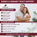 21-in-1-kidney-support-supplement-vitacr-3.jpg