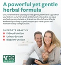 chanca-piedra-kidney-cleanse-detox-repai-2.jpg