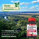 fito-medic-s-lab-cranberry-pills-cranber-6.jpg