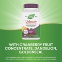 nature-s-way-urinary-with-cranberry-prem-4.jpg