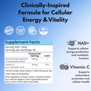 riize-nad-strips-fast-dissolving-oral-st-6.jpg