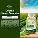 natural-hemp-gummies-high-potency-for-pa-2.jpg