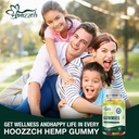 natural-hemp-gummies-high-potency-for-pa-6.jpg
