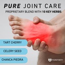 purefinity-uric-acid-flush-cleanse-capsu-2.jpg