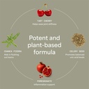 natural-uric-acid-cleanse-with-celery-se-4.jpg