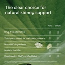 natural-uric-acid-cleanse-with-celery-se-5.jpg