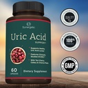 sunergetic-premium-uric-acid-support-sup-5.jpg
