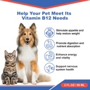 cat-appetite-stimulant-methylcobalamin-b-2.jpg