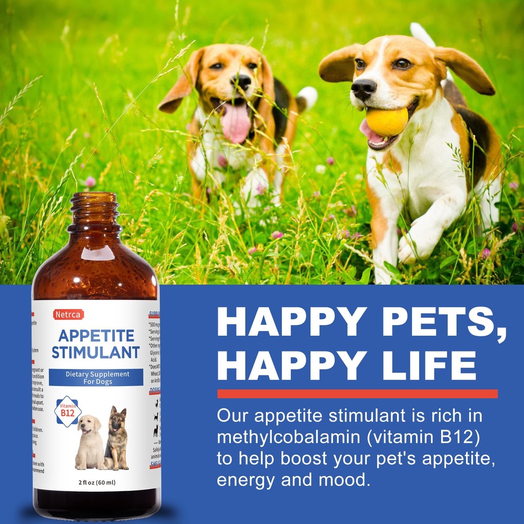 cat-appetite-stimulant-methylcobalamin-b-3.jpg