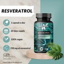 apollo-s-hegemony-resveratrol-high-dose--4.jpg