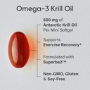 sports-research-brain-fuel-pack-extra-st-5.jpg