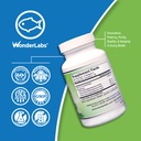 wonder-laboratories-ez-omega-3-atlantic--4.jpg