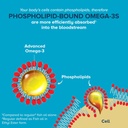 qunol-advanced-omega-3-krill-and-fish-oi-4.jpg