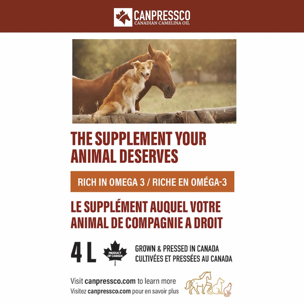 camelina-oil-4-l-jug-with-dispensing-pum-3.jpg