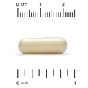 california-gold-nutrition-proteolytic-en-3.jpg