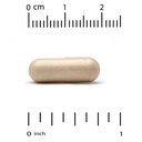 california-gold-nutrition-pterostilbene--3.jpg