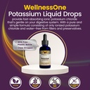 wellnessone-ionic-potassium-supplement-p-4.jpg