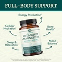 potassium-magnesium-supplement-high-stre-2.jpg