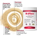 k-plus-potassium-citrate-cranberry-granu-3.jpg