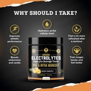 hrdwrk-electrolytes-powder-with-magnesiu-5.jpg