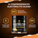 hrdwrk-electrolytes-powder-with-magnesiu-3.jpg