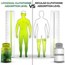 immune-cellular-support-bundle-liposomal-3.jpg