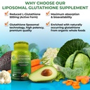 immune-cellular-support-bundle-liposomal-2.jpg