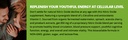 the20-flow-nitric-oxide-supplement-60-ca-4.jpg