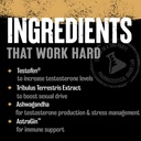 animal-tnt-mens-support-prostate-support-4.jpg