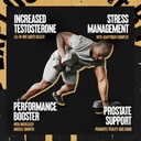 animal-tnt-mens-support-prostate-support-3.jpg