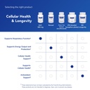pure-encapsulations-nac-900-mg-n-acetyl--6.jpg