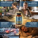 new-vibe-ksm-66-ashwagandha-supplement-f-2.jpg
