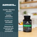 ancient-nutrition-digestive-enzymes-supp-3.jpg