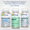 solaray-super-digestaway-digestive-enzym-6.jpg