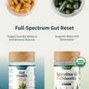 snap-supplements-gut-health-lipase-suppl-2.jpg