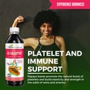 papaya-leaf-blood-support-liquid-15x-str-3.jpg