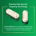 ibgard-gut-health-supplement-peppermint--3.jpg