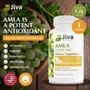 jiva-botanicals-amla-capsules-vegan-indi-3.jpg