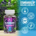 elderberry-immune-support-gummies-elderb-4.jpg
