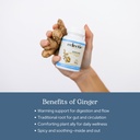 eclectic-ginger-395-mg-cog-fduv-blue-50--4.jpg