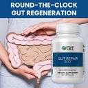 well-of-life-gut-repair-360-gut-health-s-2.jpg