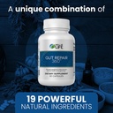 well-of-life-gut-repair-360-gut-health-s-4.jpg