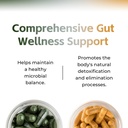 elyra-gut-health-supplements-gut-health--3.jpg