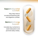 elyra-gut-health-supplements-gut-health--5.jpg