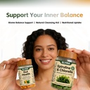 elyra-gut-health-supplements-gut-health--2.jpg