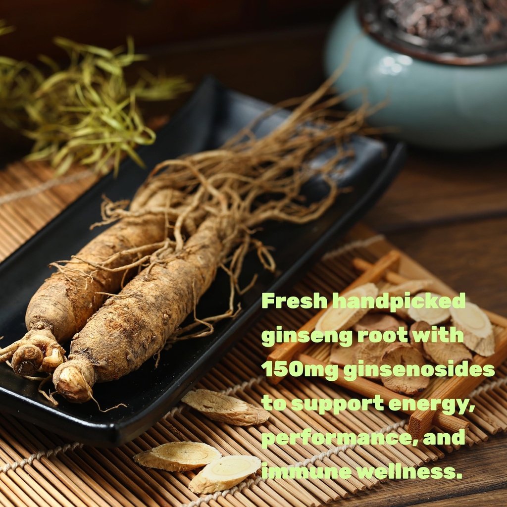 deal-supplement-korean-red-panax-ginseng-4.jpg