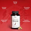 korean-red-ginseng-6-year-root-enhanced--3.jpg