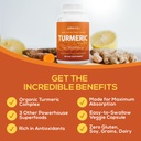 paleovalley-organic-turmeric-complex-ful-6.jpg