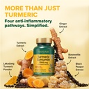 vahdam-turmeric-curcumin-supplement-2000-4.jpg